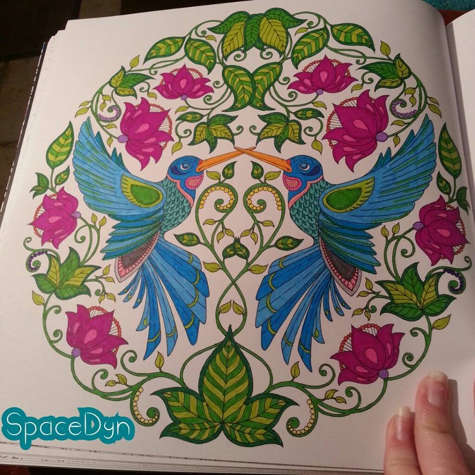 Mes Coloriages : Jardin Secret | SpaceDyn Creative
